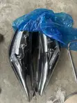 Hyundai Elantra Spec Headlight (2011-2016) - 1