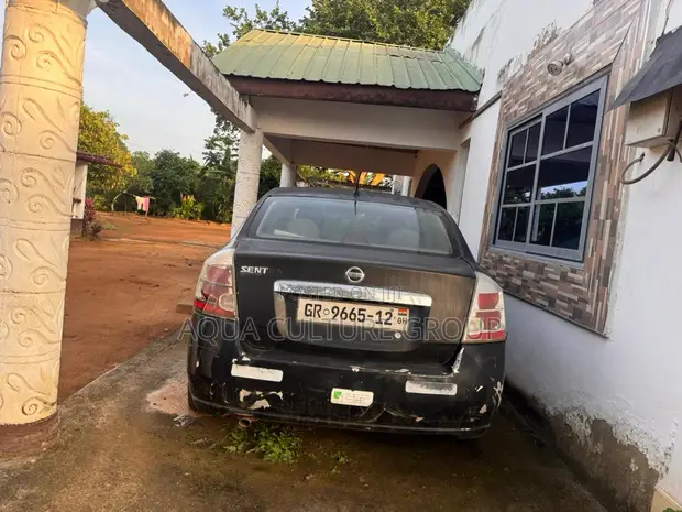 Nissan Sentra 2.0 S 2010 Black - 1