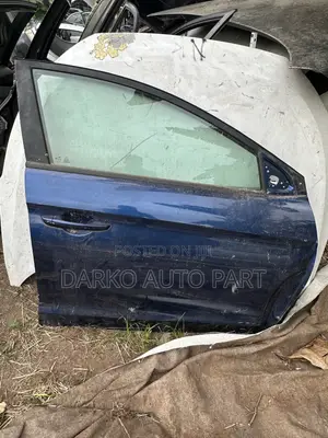 Hyundai Elantra Front Right Door (2016-2018)