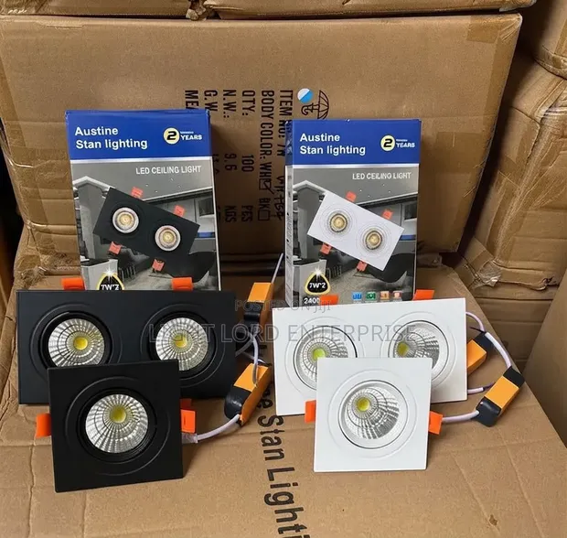 Austin Stan Double Face Spot Light Dimmable - 1