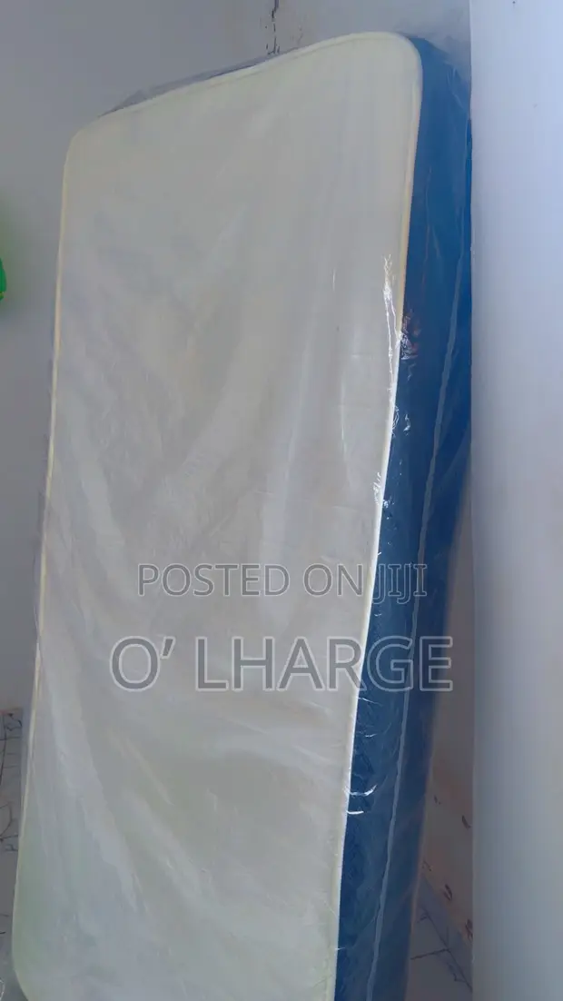 9 Inches Single Ashfoam Mattress - 1