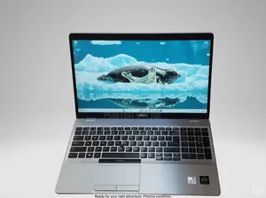 Dell Latitude 5510 Laptop - Core i5, 8GB RAM, 256GB SSD