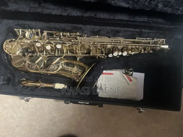 Alpine Alto Saxophone - 1