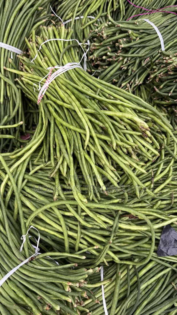 Green Beans - 1 Bunch - 1