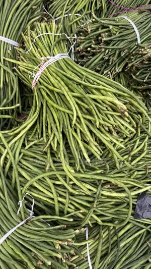 Green Beans - 1 Bunch