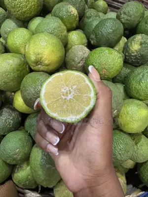 Fresh Lemons