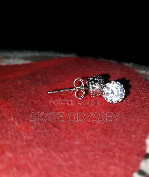 Ice Earrings for Men and Women - 1