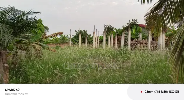 Commercial Land for Sale in Sasaabi - 1