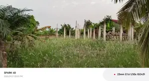 Commercial Land for Sale in Sasaabi