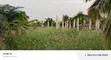 Commercial Land for Sale in Sasaabi - 1