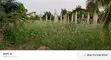 Commercial Land for Sale in Sasaabi - 3