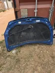 Hyundai Elantra Bonnet (Used) - 2