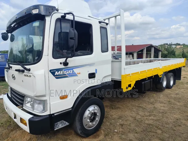 Hyundai Gold Double Axle Truck - 1