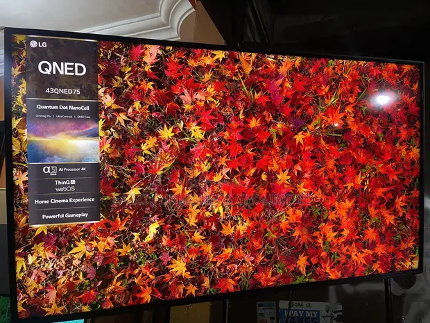LG 43-inch QNED Smart UHD HDR10 Satellite Gaming TV (43QNED75) - 1
