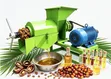 Palm Oil Extraction Machine - 1
