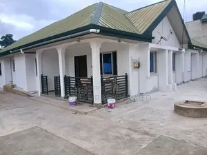 Professional Painting Services