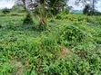 2 Plots of Land for Sale, East Akim Municipal - 2