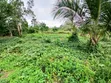 2 Plots of Land for Sale, East Akim Municipal - 3