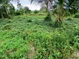 2 Plots of Land for Sale, East Akim Municipal - 4