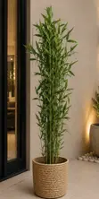 Artificial Bamboo Plant Tree with Cane Vase (150cm) - 2