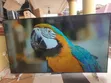 86" LG UHD HDR Edgeless Smart Satellite TV - 2