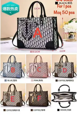 Dior Handbag for Ladies