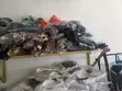Quality 100% Cotton T-Shirt - 5