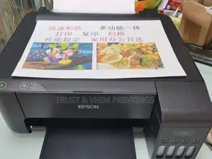 3-in-1 Epson Printer (Color)