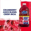Ocean Spray Cranberry Juice - 2