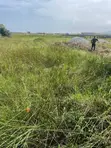 Prime Plots for Sale in Aburi - 1