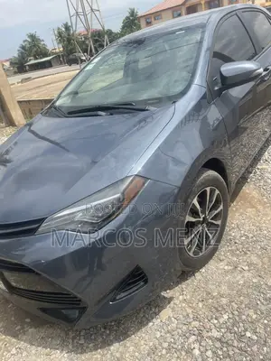 Toyota Corolla LE 2019 Gray