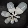 C-TORCH LED T-Bulbs Wholesale (18W-55W) - 4