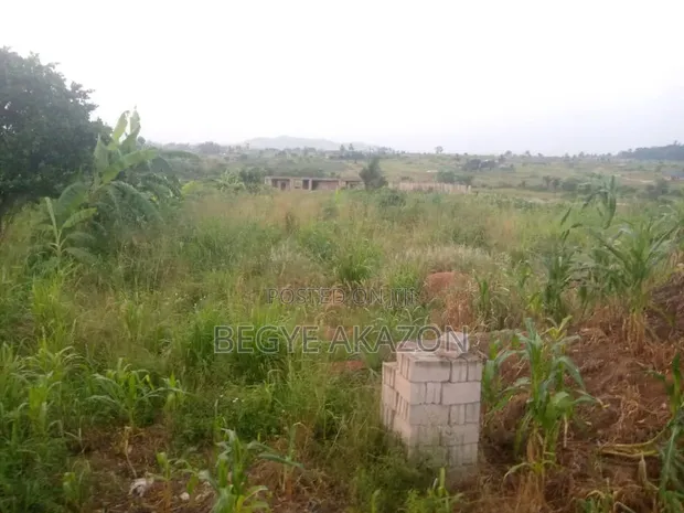 Residential Plot for Sale at Amasaman Denkyire-Obifo - 1