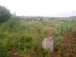 Residential Plot for Sale at Amasaman Denkyire-Obifo - 1