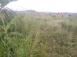Residential Plot for Sale at Amasaman Denkyire-Obifo - 3