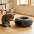 Doughnut Bee Pet Bed - 1