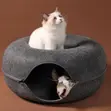 Doughnut Bee Pet Bed - 2