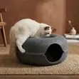 Doughnut Bee Pet Bed - 4
