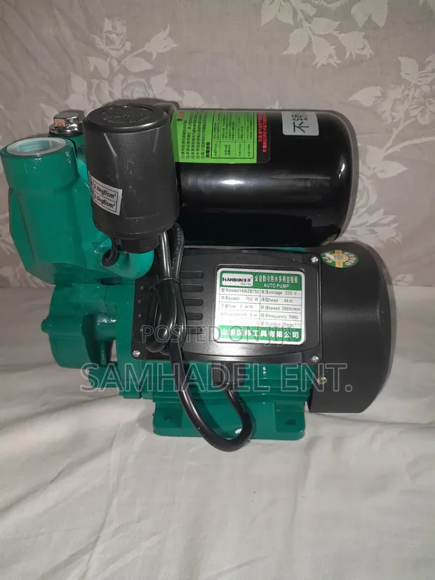 750W Self-Priming Hot & Cold Water Pump - 1