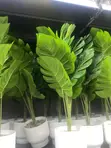 Artificial Flowers & Green Grass - 4