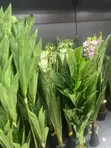 Artificial Flowers & Green Grass - 5