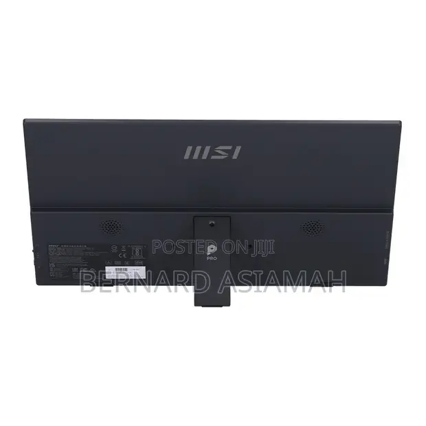 MSI PRO MP165 E6 16-inch Portable Display - 1