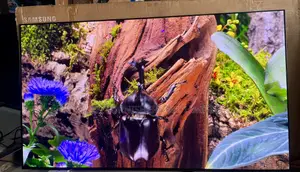 Samsung 65-inch S93F OLED Smart TV - 144Hz Gaming