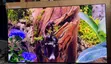 Samsung 65-inch S93F OLED Smart TV - 144Hz Gaming - 1