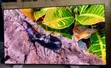 Samsung 65-inch S93F OLED Smart TV - 144Hz Gaming - 2