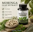 Moringa Capsules, 800mg, 60 Capsules - 3