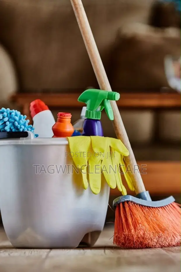 Premium Cleaning Services by Tagwin - 1