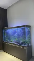 Custom Built Aquarium with 30 Fish - 2