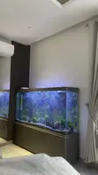 Custom Built Aquarium with 30 Fish - 3