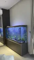 Custom Built Aquarium with 30 Fish - 4